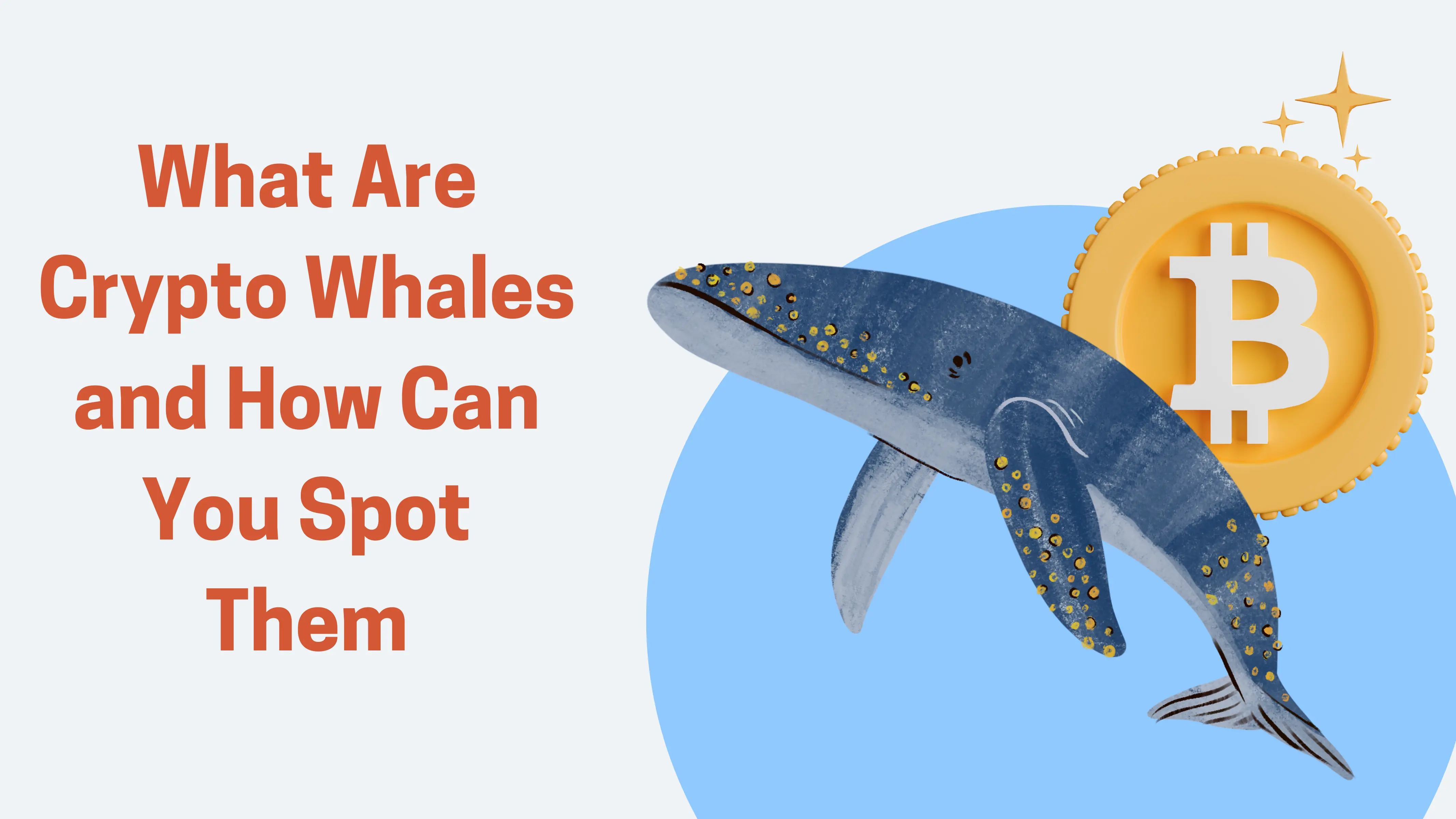What Are Crypto Whales and How Can You Spot Them